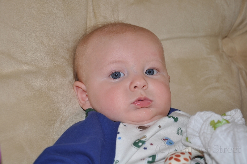 William's Fourteenth Week 15.jpg